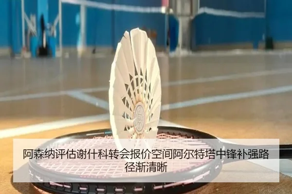 a-sen-na-ping-gu-xie-shen-ke-zhuan-hui-bao-jia-kong-jian-a-er-te-ta-zhong-feng-bu-qiang-lu-jing-jian-qing-xi-2-101.jpg